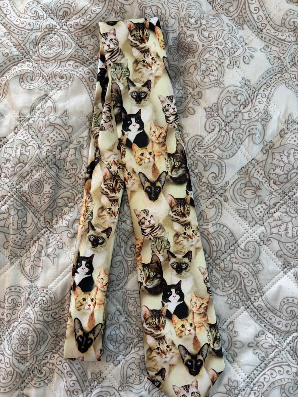 American Traditions Cat Tie